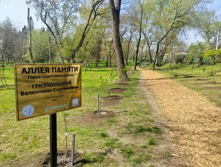 Аллею сирени имени Валентины Гризодубовой высадили в Ростове активисты Союза женщин России