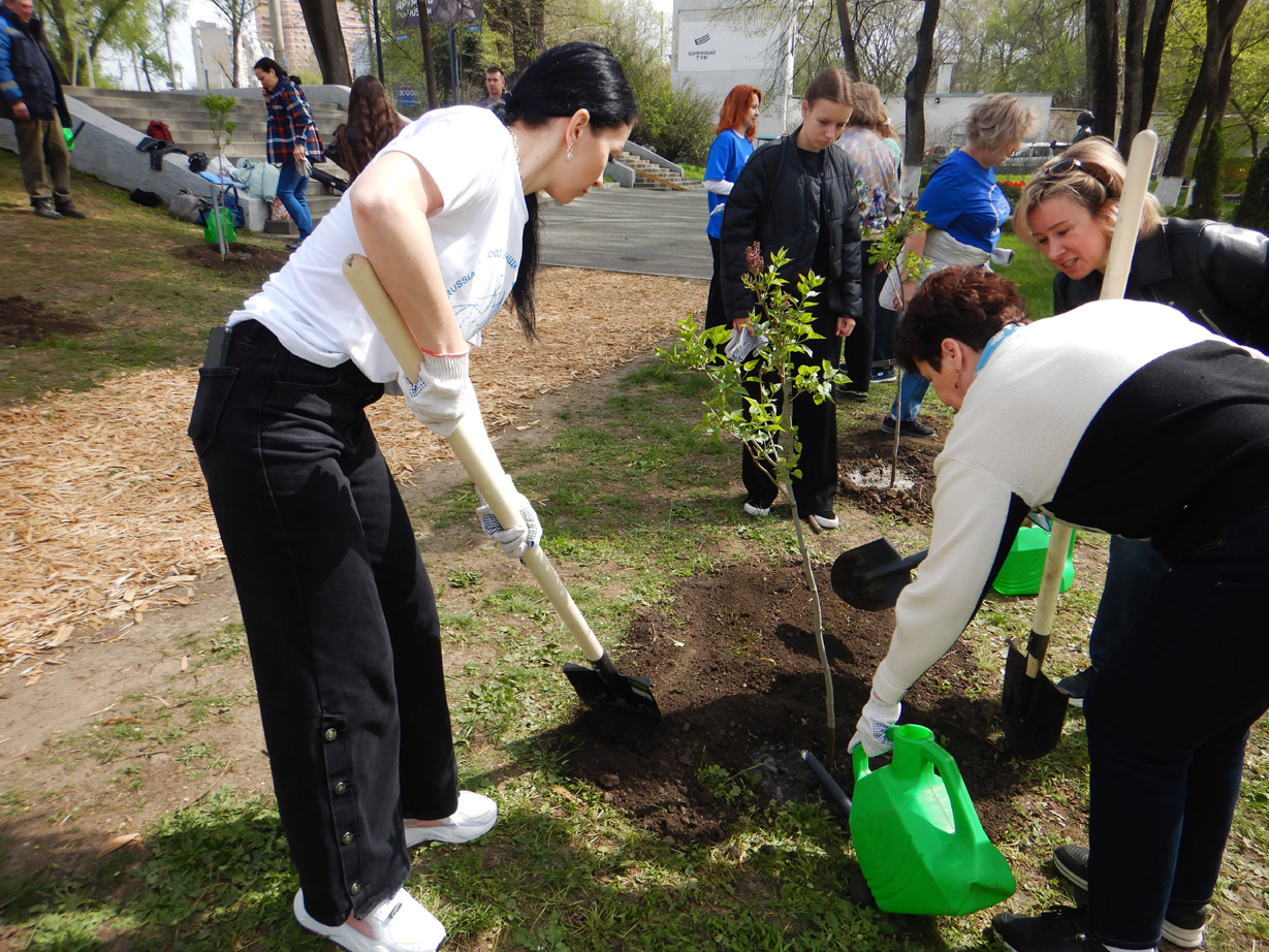 Аллею сирени имени Валентины Гризодубовой высадили в Ростове активисты Союза женщин России