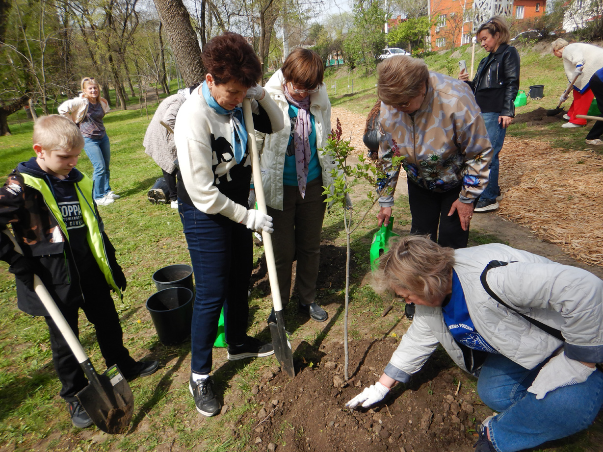 Аллею сирени имени Валентины Гризодубовой высадили в Ростове активисты Союза женщин России