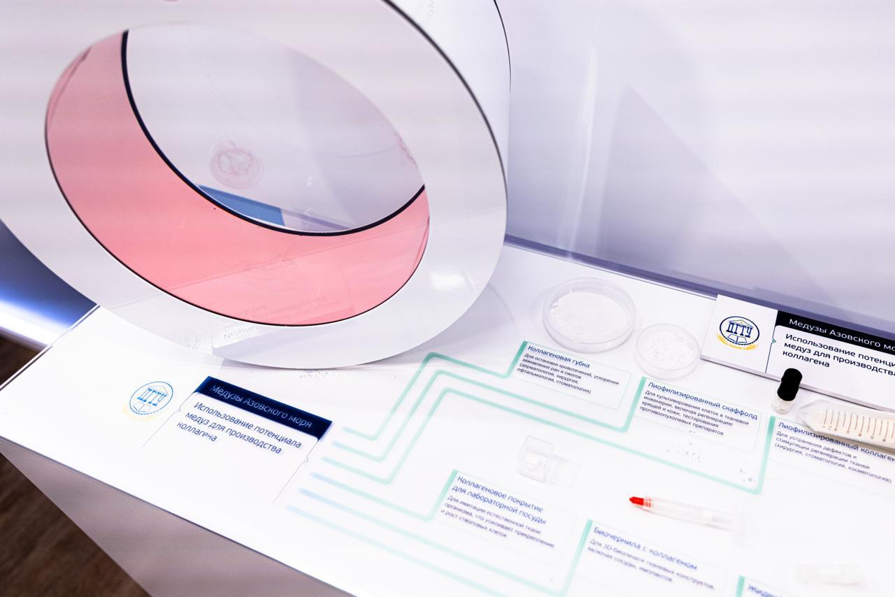 Проект ученых ДГТУ по производству коллагена из медуз Азовского моря понравился Президенту РФ