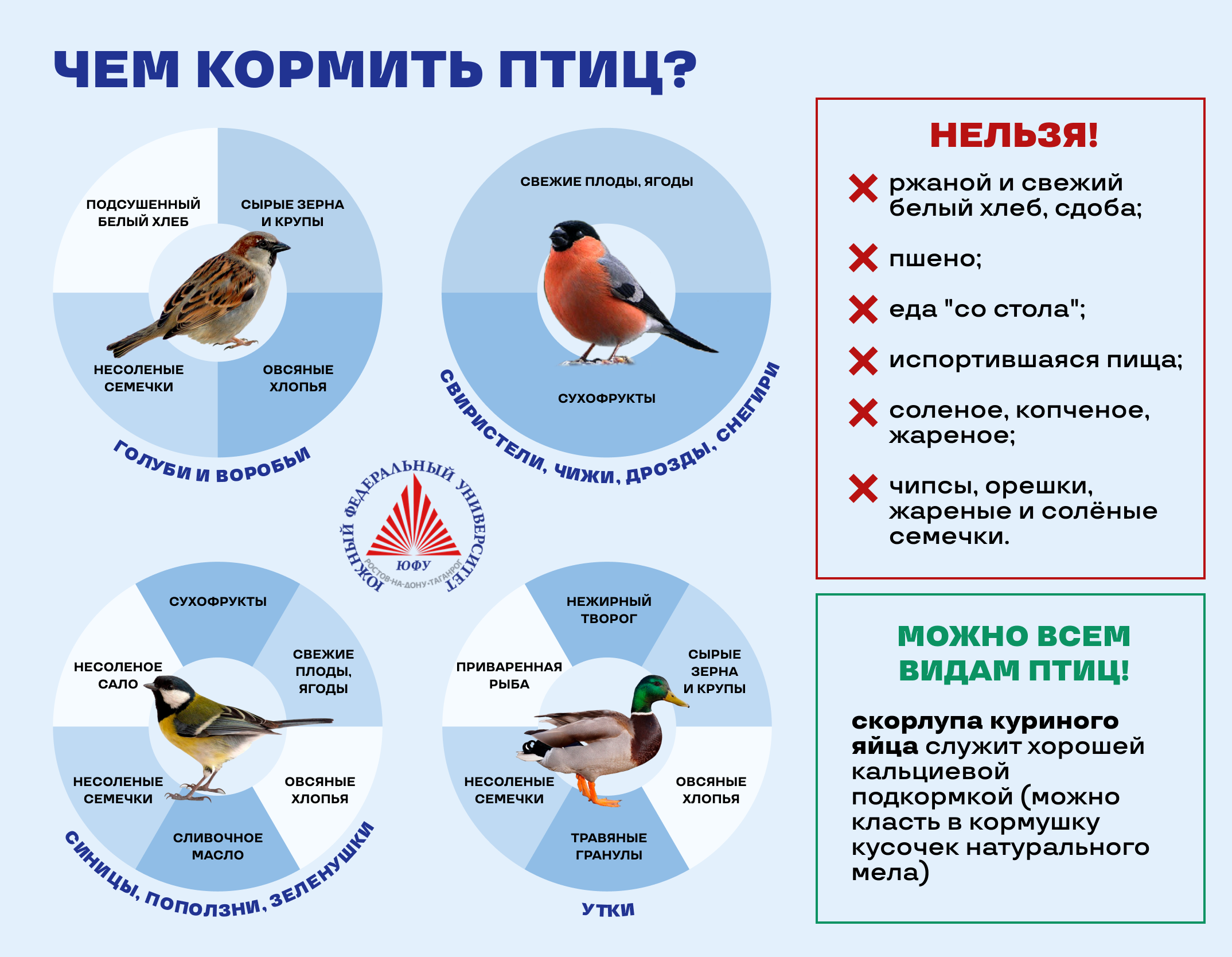 ЧЕМ МОЖНО КОРМИТЬ ЗИМУЮЩИХ в Ростове ПТИЦ