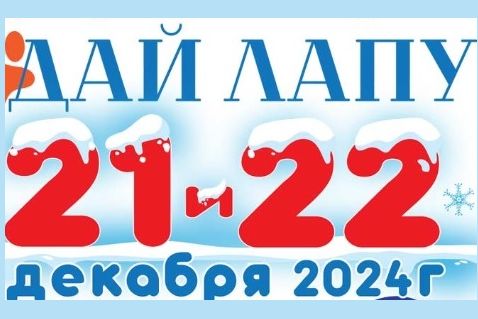 В Ростове-на-Дону пройдет благотворительный фестиваль добрых дел «Дай Лапу», посвященный проблемам бездомных животных