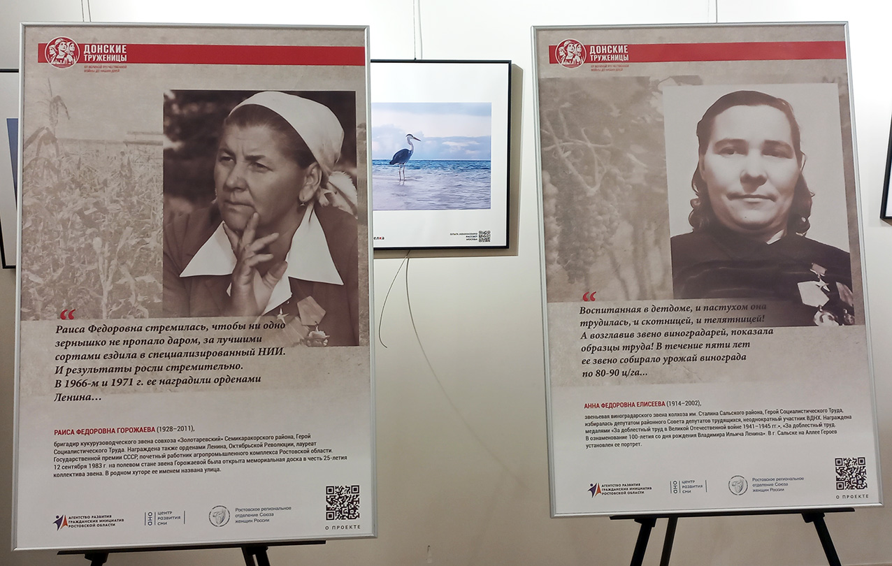 Мультимедийный проект &laquo;Донские труженицы: от Великой Отечественной войны до наших дней&raquo;
