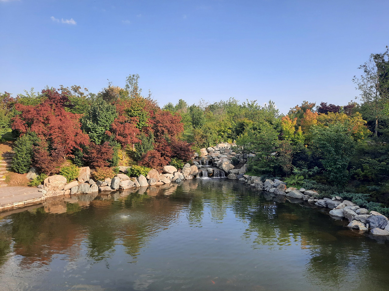 Японский Сад в парке Галицкого в Краснодаре. Стоит ли ехать туда ростовчанам?