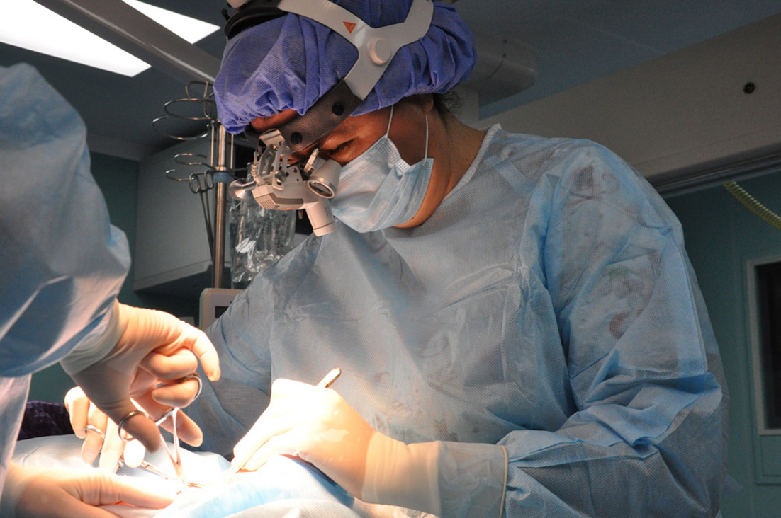 Онкохирургам НМИЦ онкологии Минздрава России Юлии Козель и Марине Енгибарян вручены государственные награды