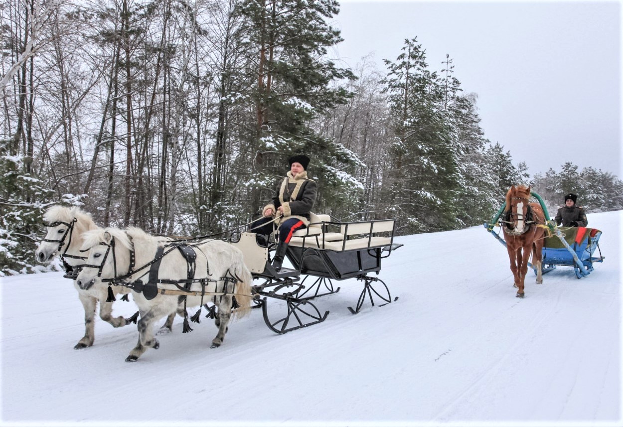 Как провести новогодние каникулы в Ростовской области? Увлекательные маршруты по Вольному Дону