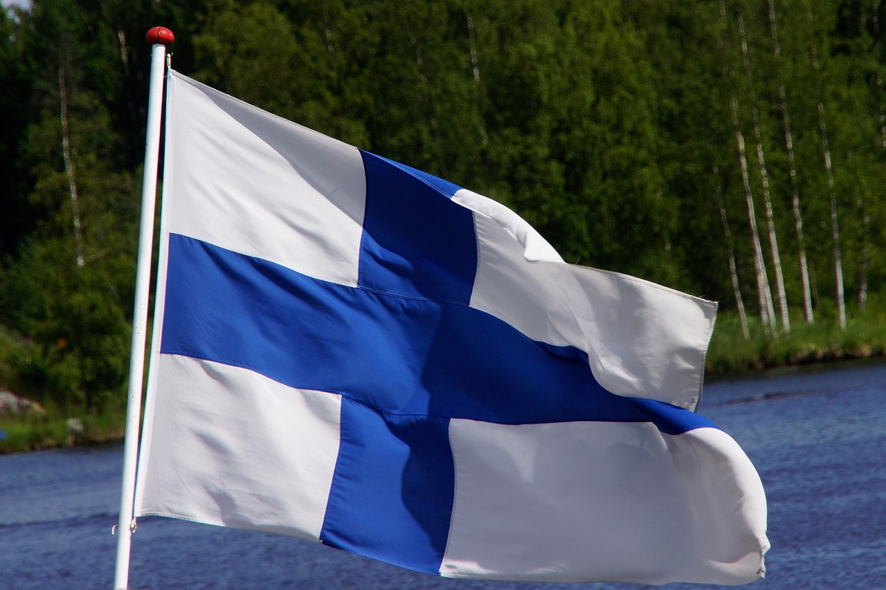 Финляндия изъятие детей